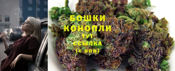 2c-b Белокуриха