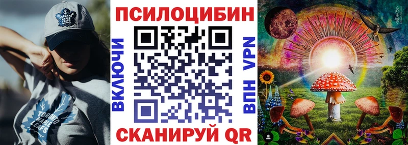 мориарти официальный сайт  Шлиссельбург  Псилоцибиновые грибы прущие грибы 
